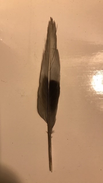 welke veer is dit?